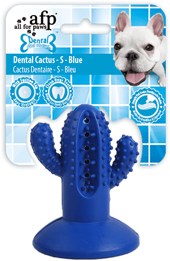 AFP Dental Chew, Dental Cactus, S, Blau
