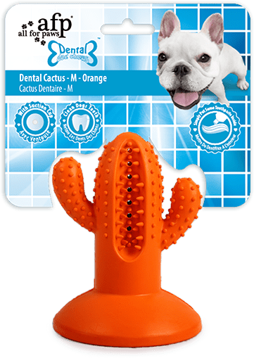 AFP Hundespielzeug Dental Cactus, Gummi, orange, Größe M
