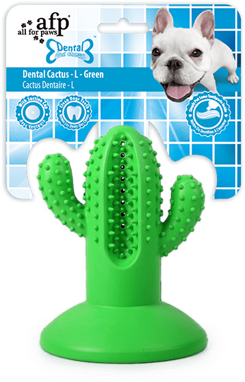 AFP Dental Kauspielzeug, Dental Cactus, L, grün, Gummi