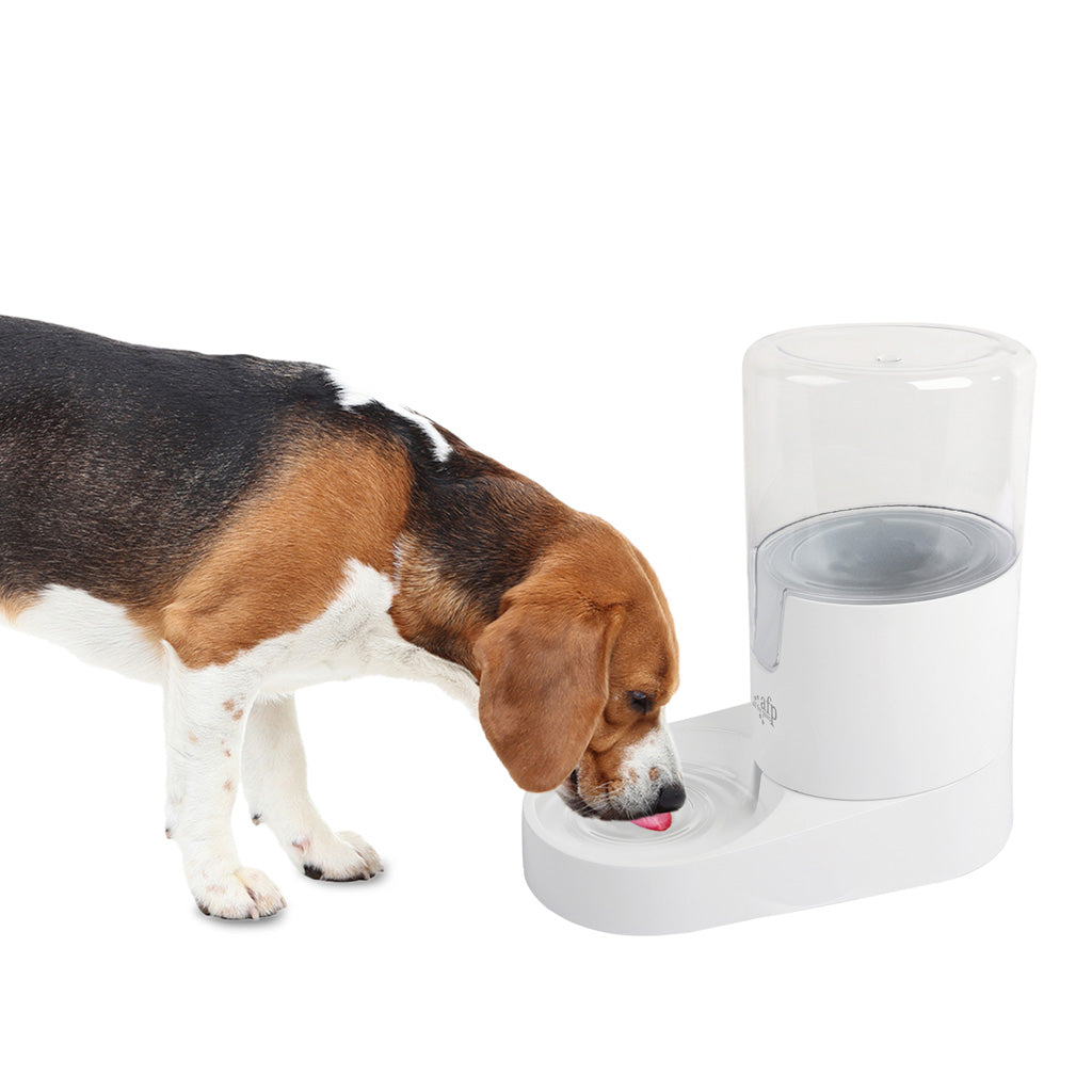 AFP Gravity  Wasserspender, automatisch, 3 l