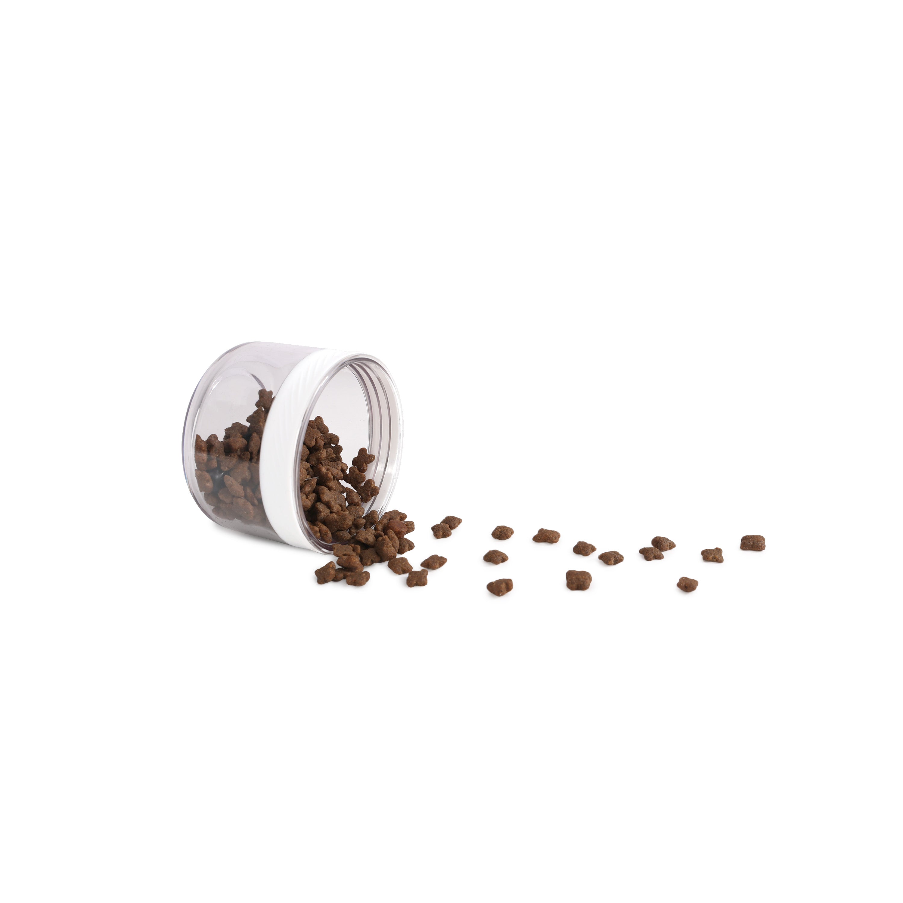 AFP 2 in 1 Edelstahl-Trinkflasche, wärmeisoliert, integrierter Trinknapf, Snackbehälter, 414 ml