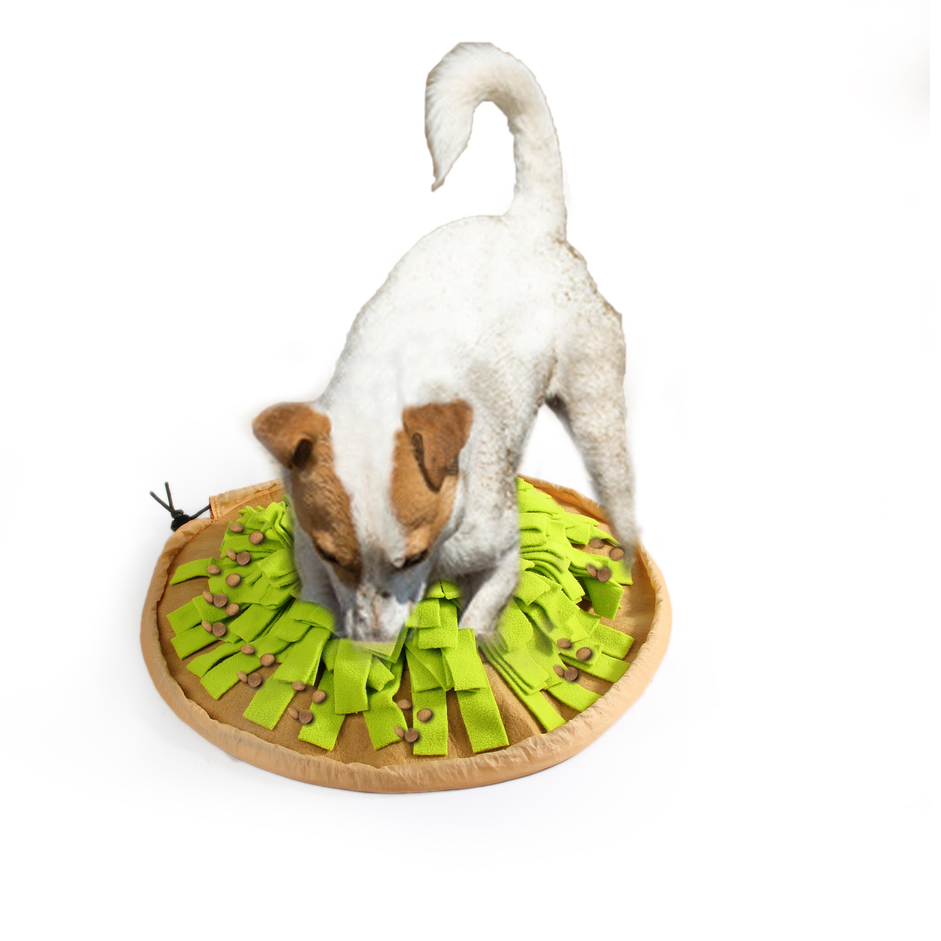 AFP Belohnungsmatte, faltbar, für Hunde, Ø 50 cm