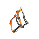 AFP Hundegeschirr, Non-Pull, Off Street, Mandarine, M, 48-60 cm, 2 cm breit