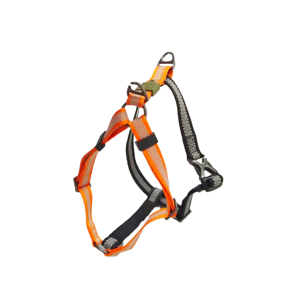 AFP Hundegeschirr, Non-Pull, Off Street, Größe L, Brustumfang 62–80 cm, Breite 2,5 cm, Mandarine