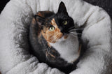 AFP Katzenbett Donut, Plüsch, Beige, 45 x 45 x 25 cm