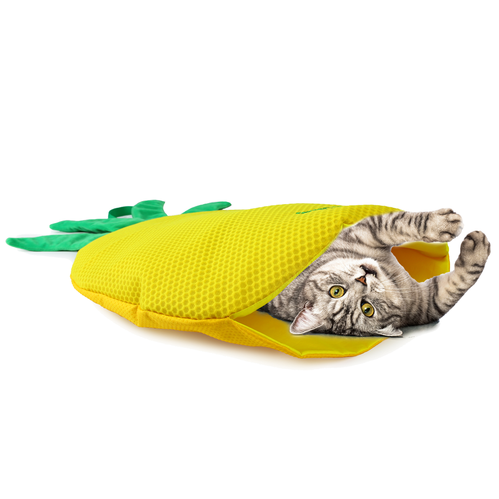 AFP Spielmatte für Katzen, Ananas, mit Katzenminze, Knistereffekt