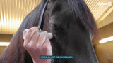 Excellent Horse Geruchsneutralisierer, Schwammapplikation, 75 ml