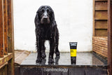 Animology Hundeshampoo, Fox Poo, 250 ml
