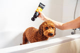 Animology Hundeshampoo, Curly Coat, für lockiges Fell, 250 ml
