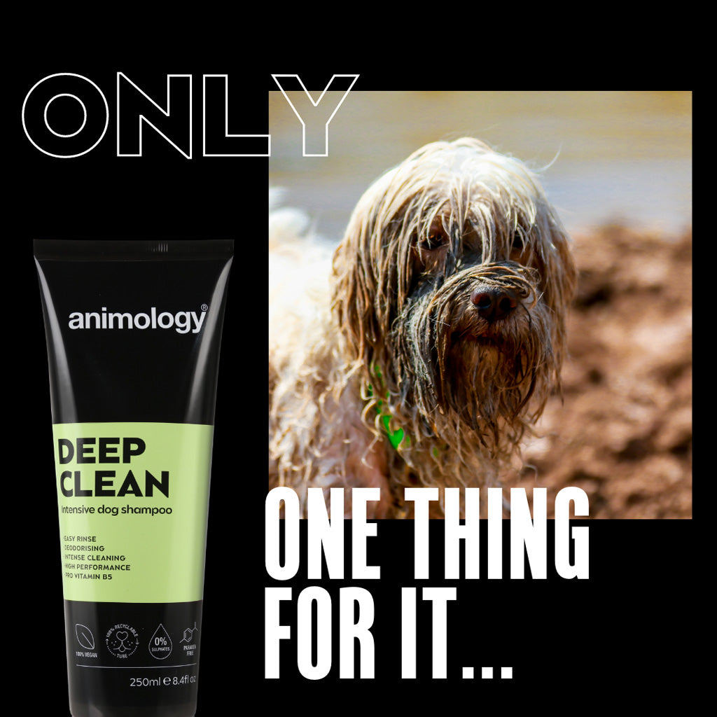 Animology Deep Clean Hundeshampoo, intensiv reinigend, 250 ml