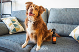 Animology Trockenshampoo Hund, ohne Ausspülen, 250 ml