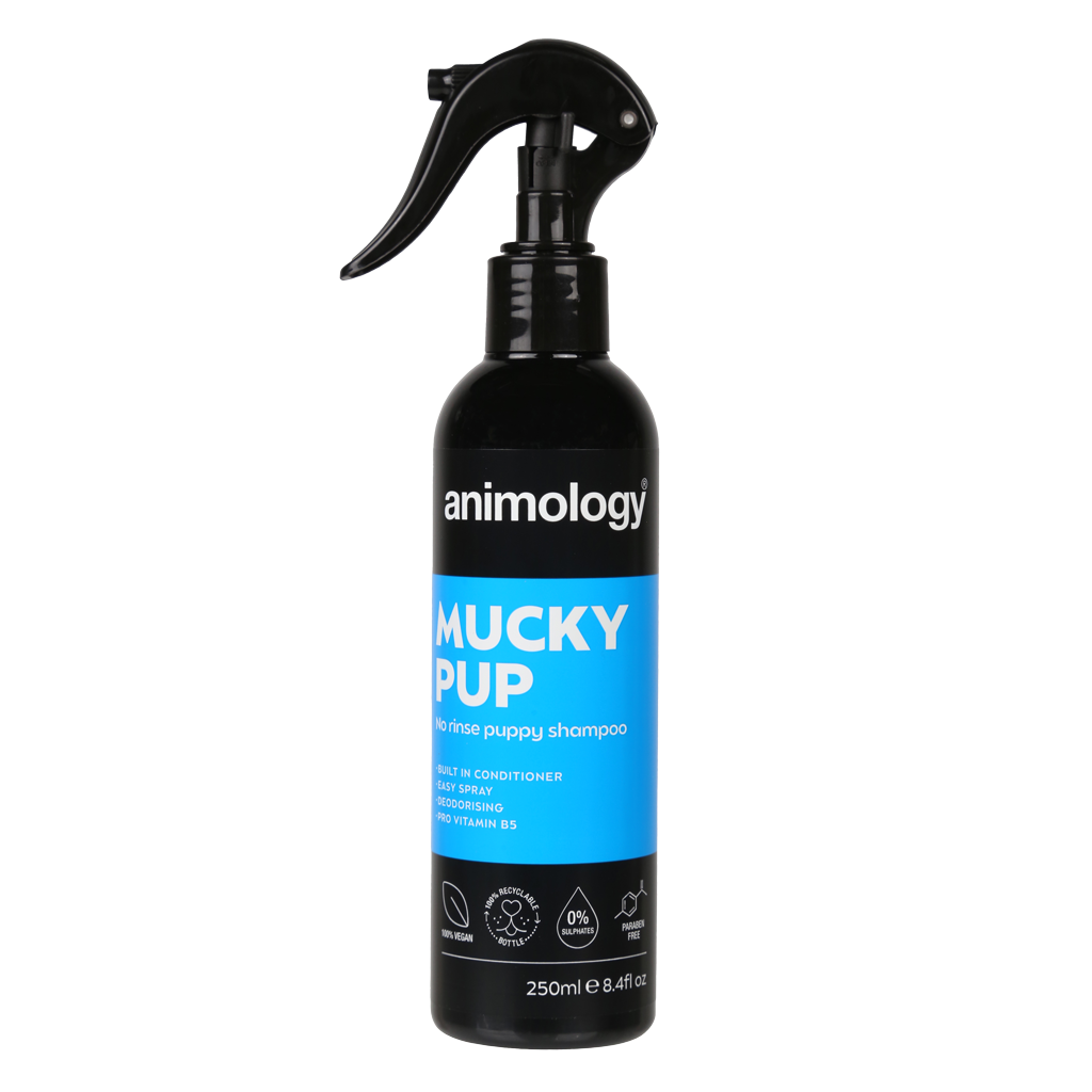 Animology Welpenshampoo, ohne Ausspülen, 250 ml