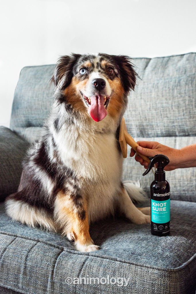 Animology Hundespray, entwirrend, 250 ml