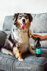 Animology Hundespray, entwirrend, 250 ml