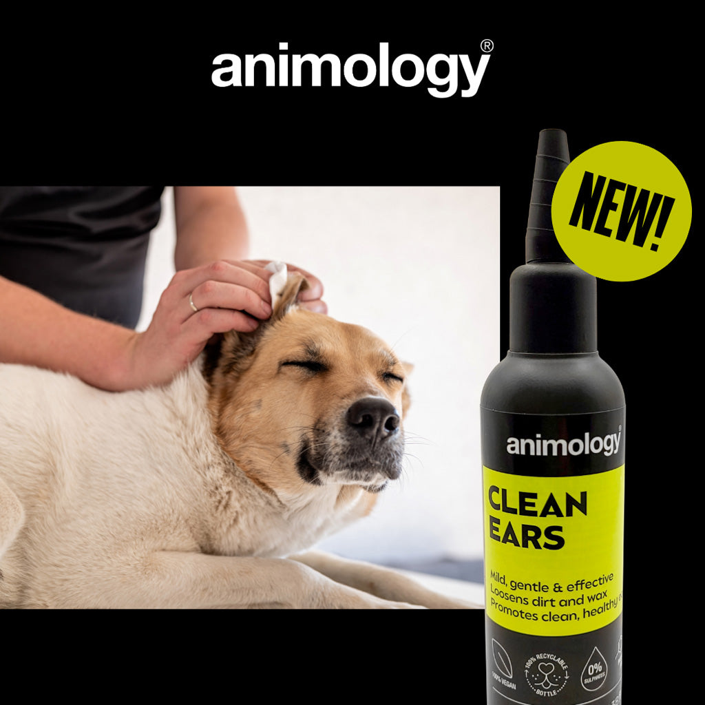 Animology Ohrenreiniger für Hunde, 100 ml