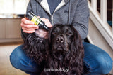 Animology Ohrenreiniger für Hunde, 100 ml