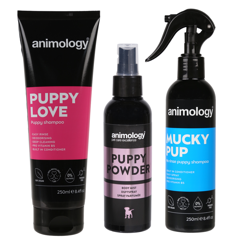 Animology Welpen Pflege Set, 3-teilig