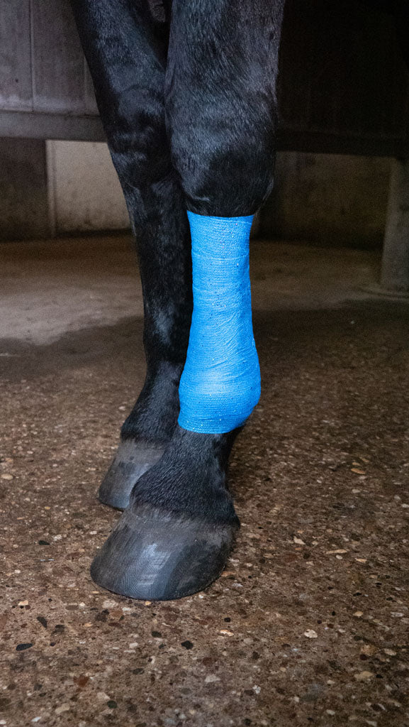 Excellent Animal Glitter Bandage Pro, selbstklebend, elastisch, 10 cm, blau