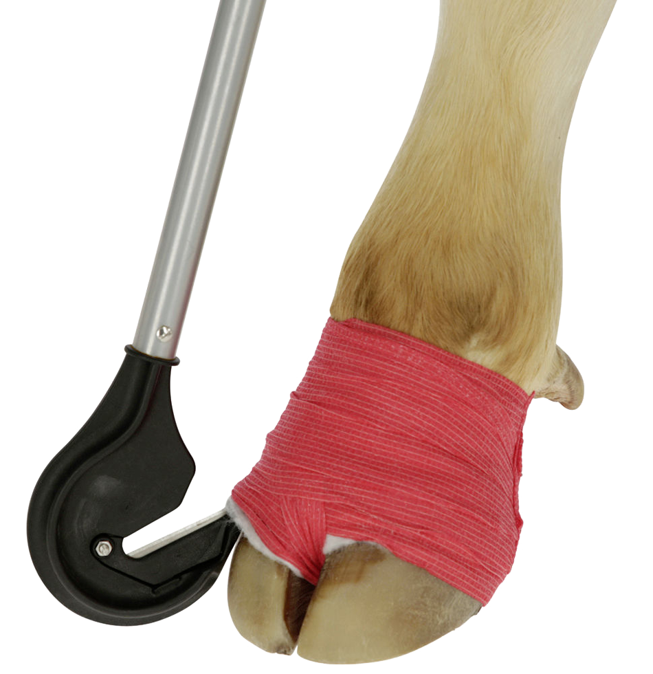 Klauenbandagenmesser, Edelstahl, Stiellänge 1 m