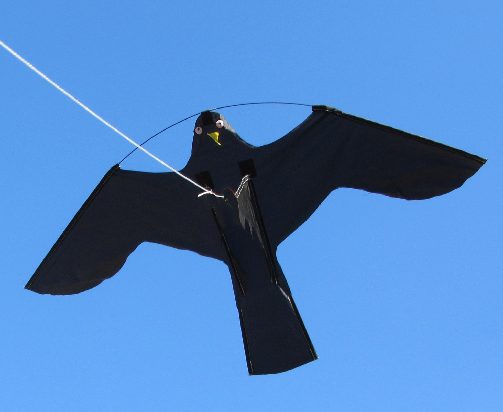 Birdshield Ersatzdrachen für Vogelabwehr