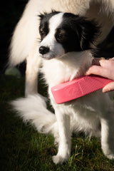 Excellent Pets Pflegebürste, Medium, rosa, 17,5 cm