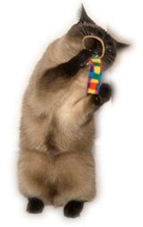 Cat Dancer Katzenspielzeug, Ring Tail Chasers, Draht, 90 cm, 2 Stk