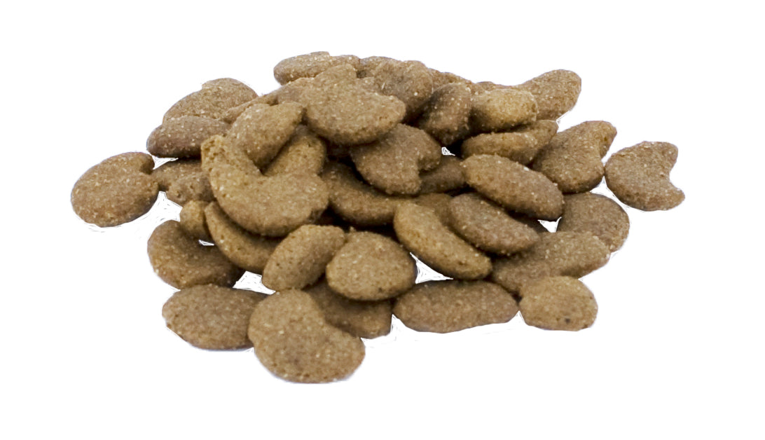 Excellent Pets Cat Parex, Ergänzungsfuttermittel für Katzen, 60 g