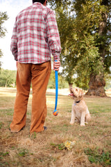 Chuckit! Ultra Ball, Hundespielzeug, S, Ø 5 cm, 2 Stk