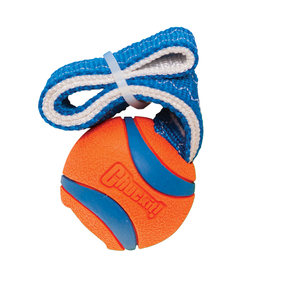 Chuckit! Ultra Tug Hundespielzeug, S, Ø 5 cm