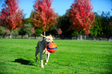 Chuckit! Kick Fetch Hundeball, Ø 19 cm, L