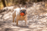 Chuckit! Hundeball Air Fetch, M, Ø 6 cm
