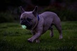 Chuckit! Air Glow Fetch Ball, M, Ø 6 cm, leuchtend, schwimmfähig, 2 Stk