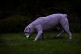 Chuckit Air Glow Fetch Ball, Ø 6 cm
