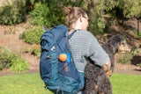 Chuckit! Ballwerfer Fetch & Fold Mini, faltbar, 26-46 cm, inkl. Ball