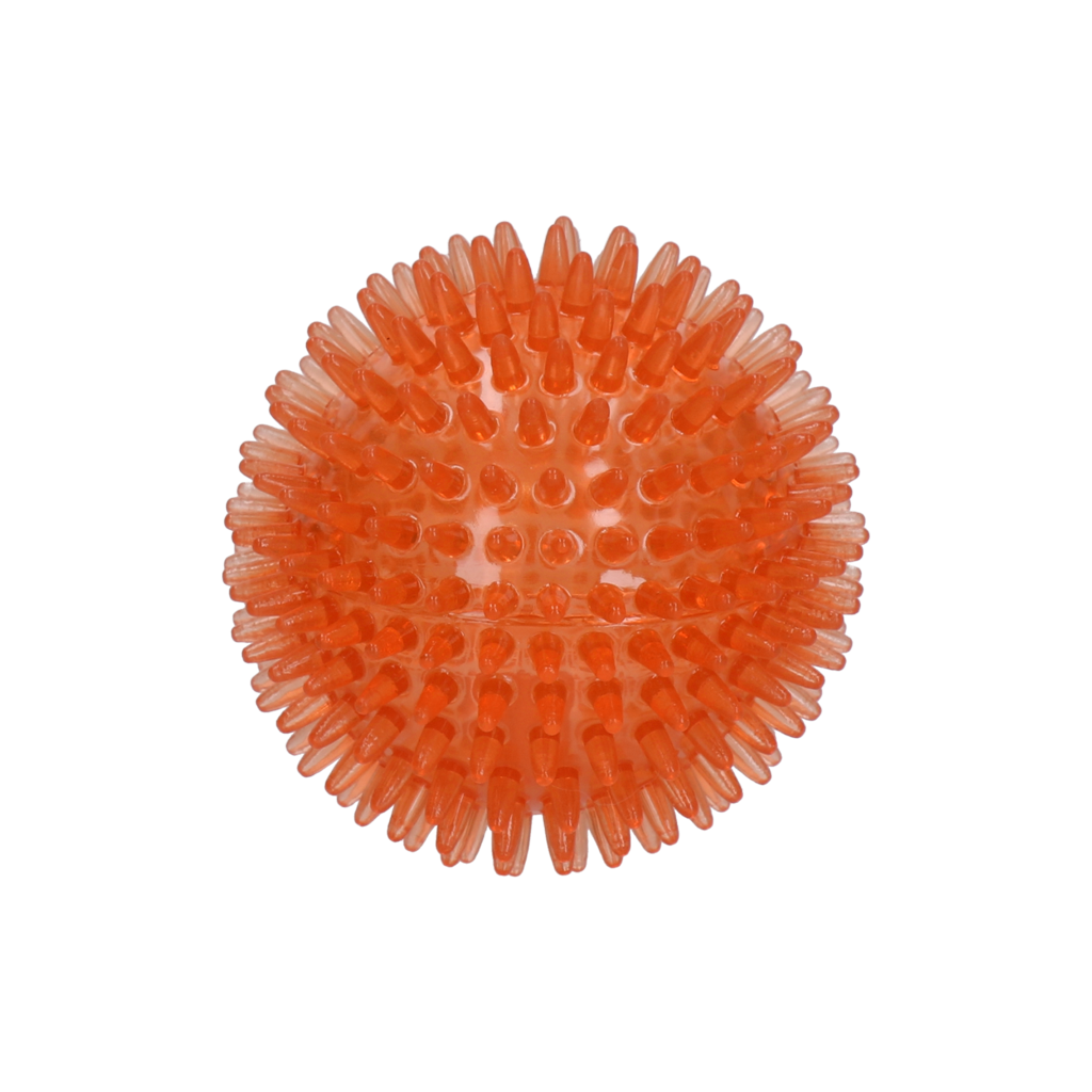 Dog Comets Igelball, Exoplanet, M, Orange, Ø 8 cm, mit Quietscher