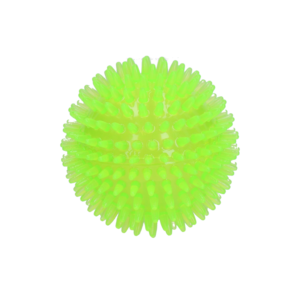 Dog Comets Igelball, Exoplanet, M, Ø 8 cm, grün