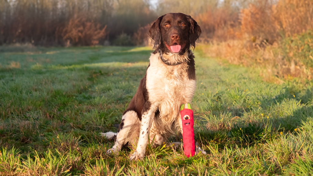 Dog Comets Hundespielzeug Invaders, rosa, Größe M, 22,5 x 5 x 5 cm