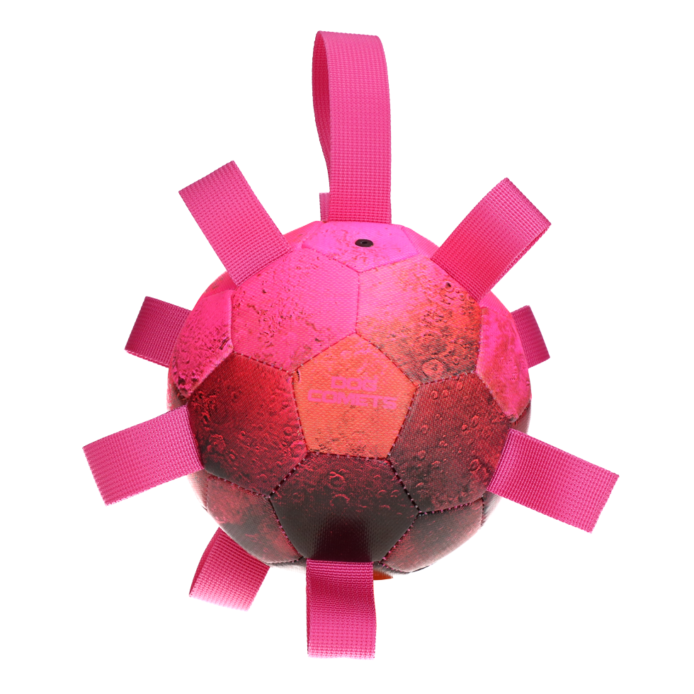 Dog Comets Hypernova Hundespielball
