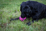 Dog Comets Leckerkubus, Gummi, mit Quietscher, rosa