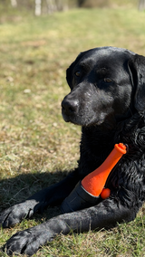 Dog Comets Apportierspielzeug, TPR-Schaumstoff, schwimmend, rosa, 23 cm, Ø 6,2 cm