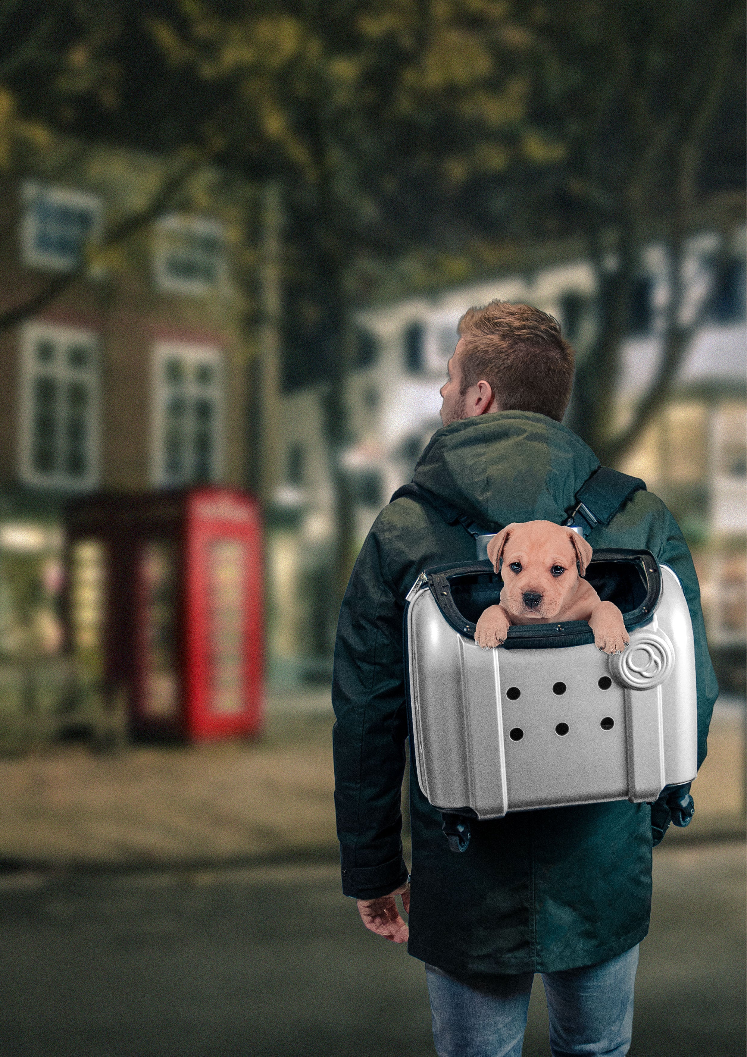 Compaws Haustier Trolley London, 40 x 25 x 31 cm, Grau