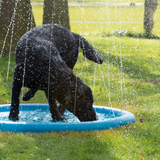 CoolPets Hundepool, Sprinkler, für Garten