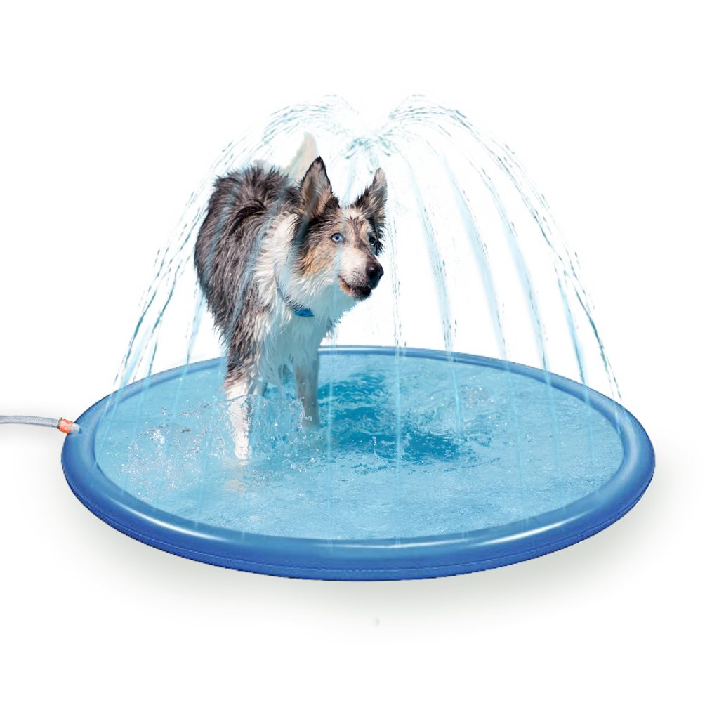 Coolpets Hundesprinkler Matte, S, Ø 100 cm