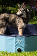 CoolPets Hundepool, Ø 80 x 20 cm