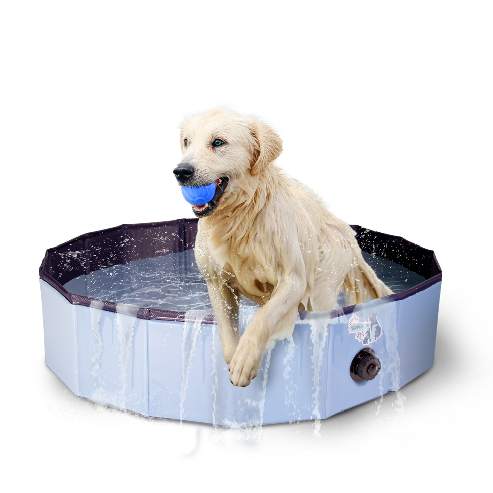 CoolPets Hundepool, Ø 100 cm, 25 cm hoch