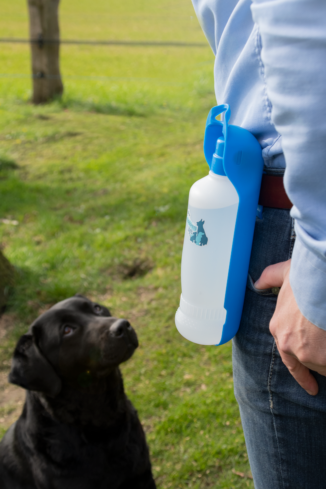 CoolPets Wasserflasche für Hunde, 300 ml