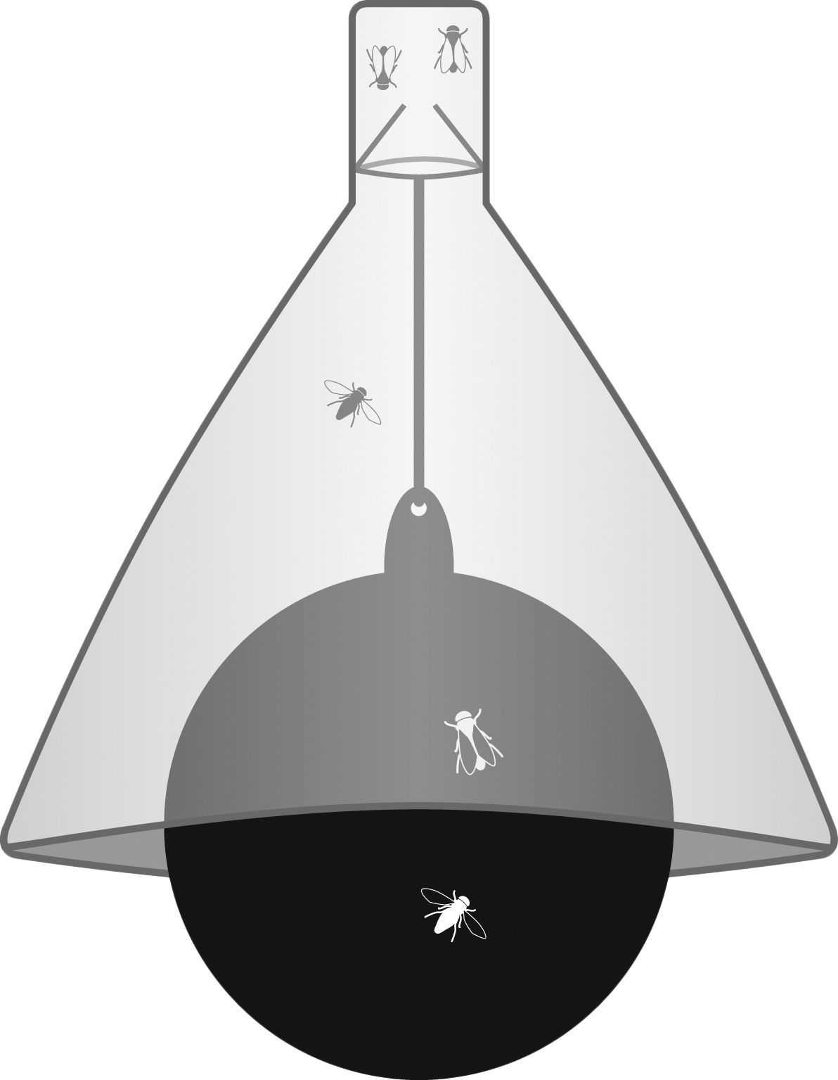 TaonX Bremsenfalle, komplett