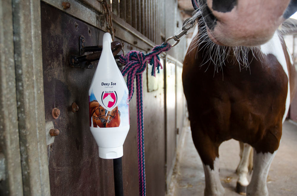 Excellent Horse Cooling Gel, Deep Ice, für Pferd und Mensch, 250 ml