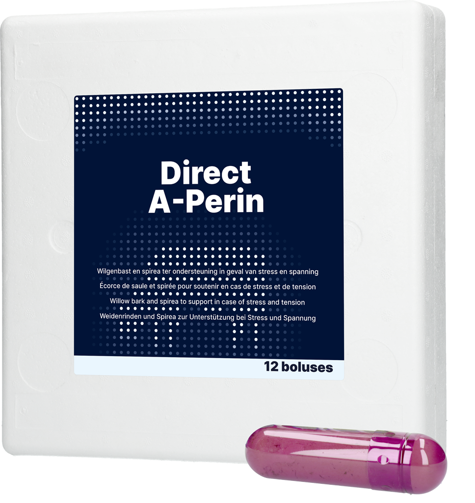 Direct A-Perin Bolus, Ergänzungsfuttermittel Rinder, 12 x 77 g