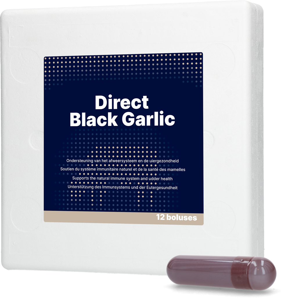 Direct Black Garlic Bolus, Ergänzungsfuttermittel für Milchvieh, 12 x 60 g